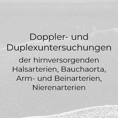 Doppler- und Duplexuntersuchungen des Herzens, Arterien und Venen.