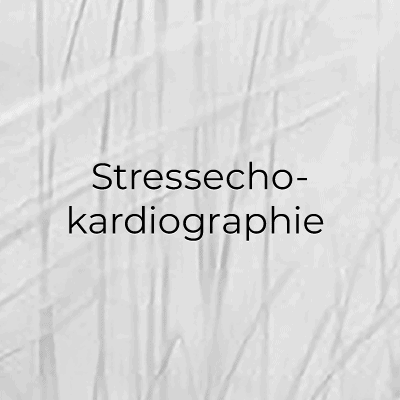 Stressecho-Kardiographie im Herzzentrum Kiel für Herzgesundheit.