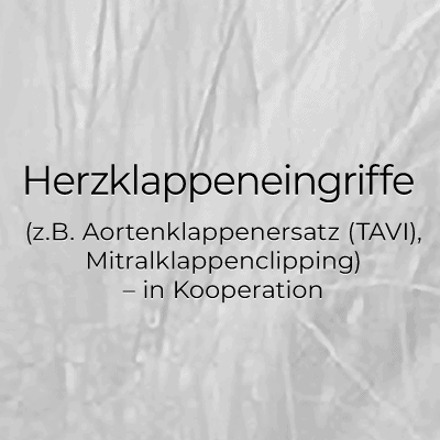 Herzklappenoperationen und -eingriffe im Herzzentrum Kiel.